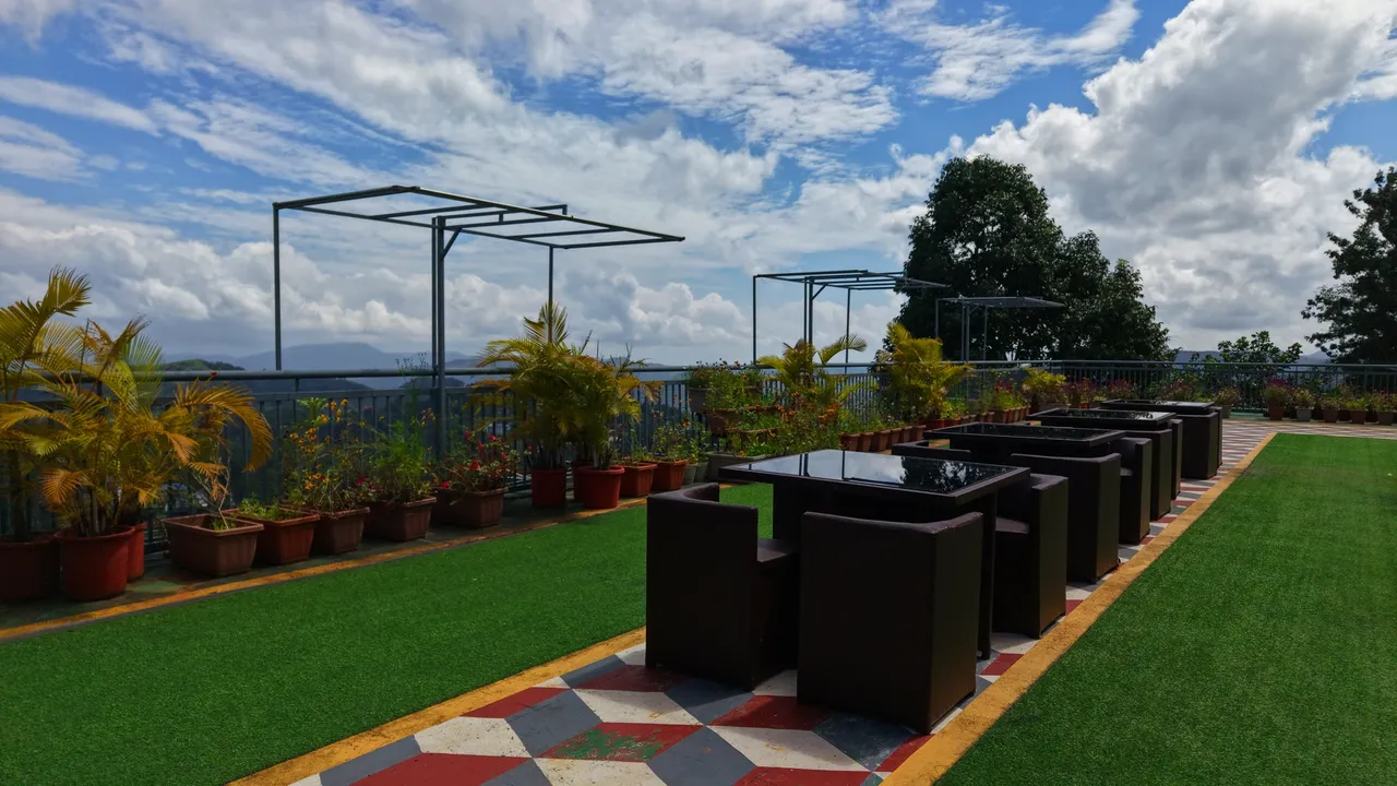 The rooftop garden: lawn, potted palms and lounge chairs open to the sky