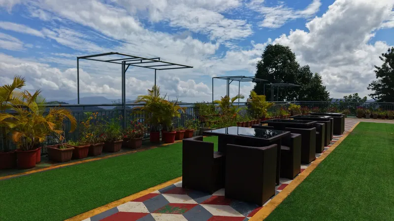 The rooftop garden with lawn, palms and lounge chairs