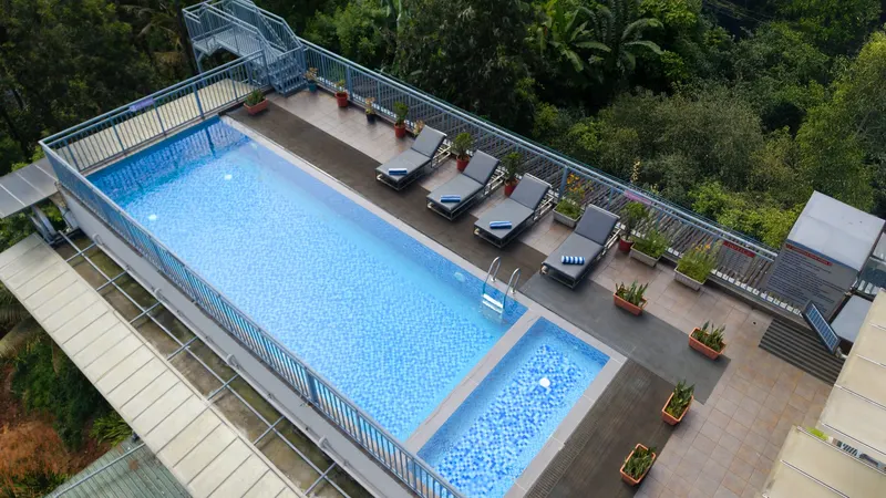 The rooftop pool from above, a row of loungers along its edge and the forest falling away below